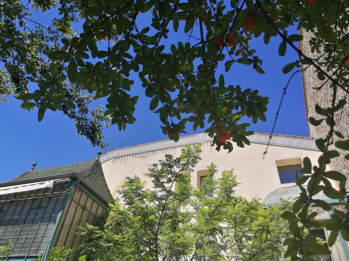 Villa Sainte Marie Narbona Exterior foto
